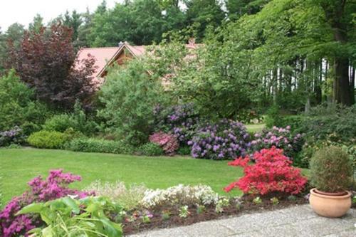 a garden with flowers and plants in a yard at Ferienhof Wroge in Wietzendorf