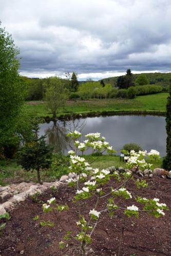 Gallery image of roulotte maisonthiers in Blanot