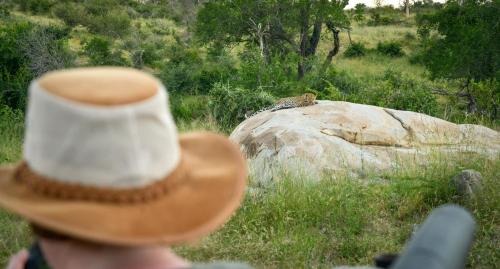 a person wearing a cowboy hat looking at a bird on a rock at Lion Sands Narina Lodge in Sabi Sand Game Reserve