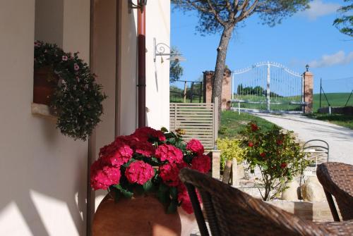 a vase filled with red flowers on a balcony at Le Maraclà Country House in Iesi
