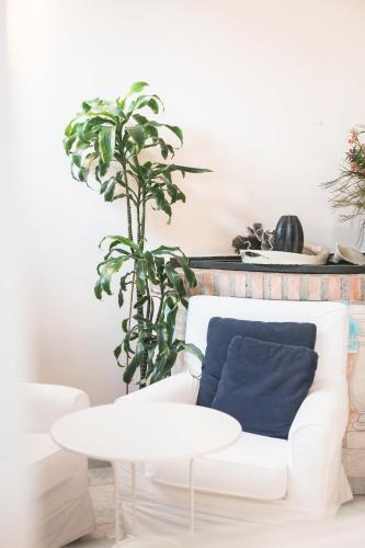 a living room with a white couch and a plant at Residenza Santa Cecilia in San Vincenzo