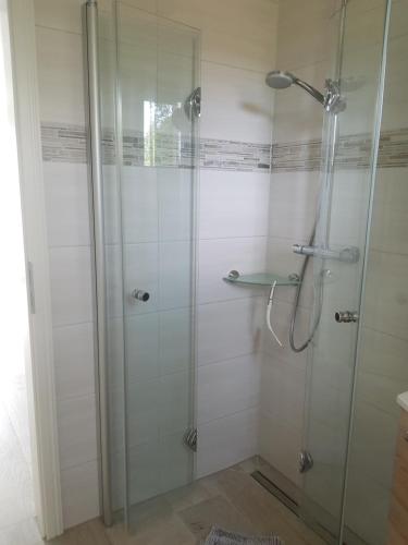 uma casa de banho com um chuveiro e uma porta de vidro em Haus Skye em Grossenbrode