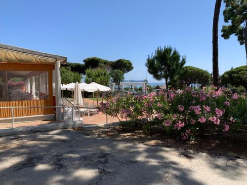 Camping La Buganvilla