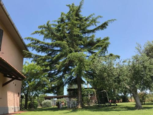 Giardino di Agriturismo San francesco