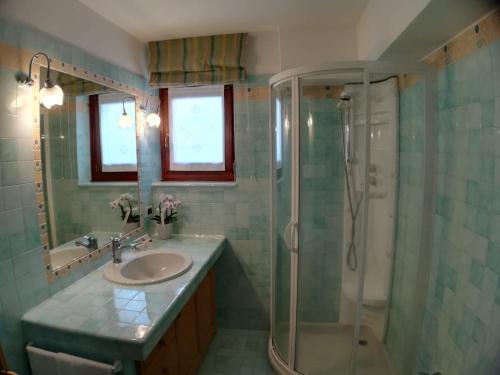 a bathroom with a sink and a shower at CASA BRENZ in Madonna di Campiglio
