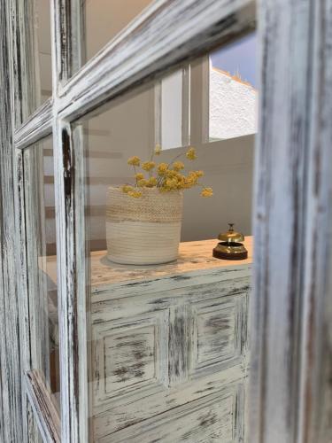uma planta em vasos sentada em cima de um armário de madeira em Hotel Misty em Cadaqués