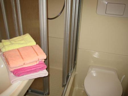 a bathroom with a shower and a pile of towels at Hotel Kastanienhof in Threna