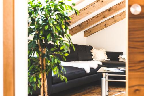 a black couch in a living room with a tree at Jolimont Apartments in Zermatt