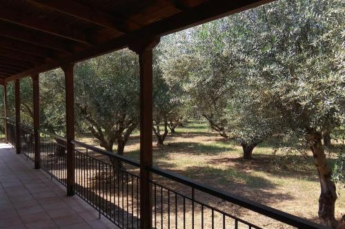 a porch with a fence and trees in a field at Mallios Home FLOKA close to Ancient Olympia in Flókas