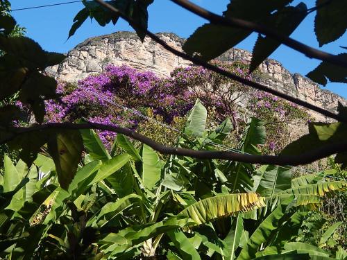 Γενική θέα στο βουνό ή θέα στο βουνό από  αυτός ο ξενώνας