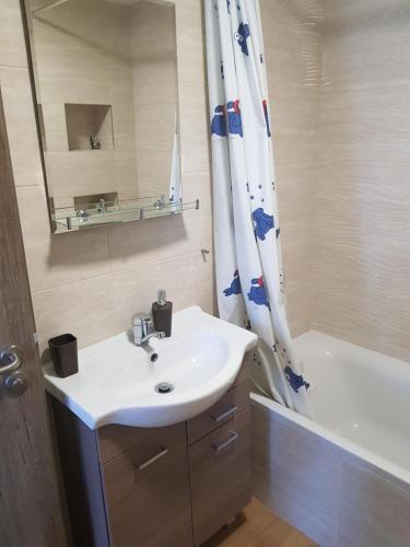 a bathroom with a sink and a shower curtain at VIP Apartmány Žabník in Prievidza