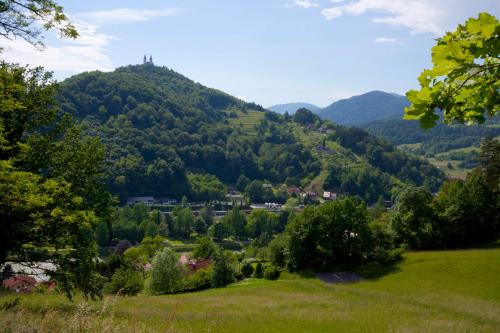 a valley in the mountains with a town on a hill at Na Kopitarjevi in Laško