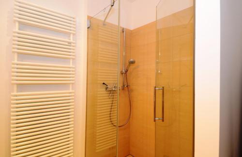 a bathroom with a shower with a glass door at City Exklusiv II in Dresden