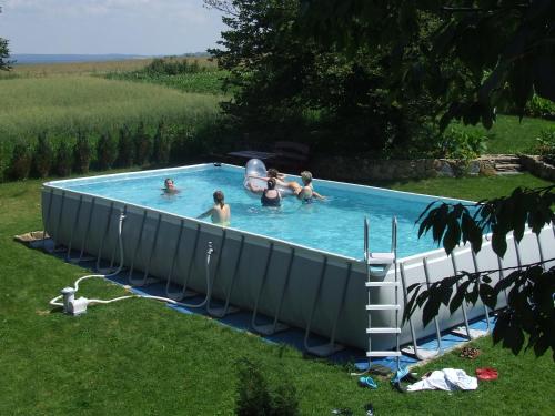 een groep mensen in een zwembad in een tuin bij Chata na Borowinowej in Wolimierz