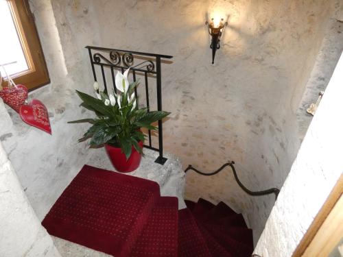 a stairway with a plant in a red vase at LE LOGIS ST PERE in Sancerre