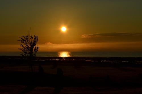 a sunset over the ocean with a tree in the foreground at Hotel-Motel Les Voitures d'Eau in L'Isle-aux-Coudres