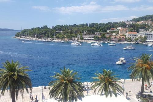 Apartments - 3 A beautiful apartment with a sea view