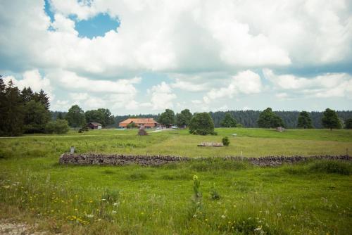 Příroda nedaleko hotelu