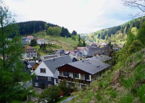 a small town with houses on a hill at Pension zum Ritter in Katzhütte