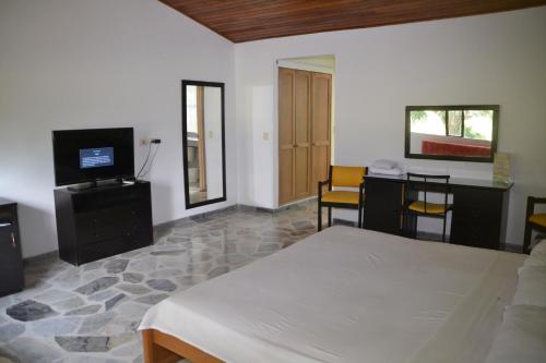 a bedroom with a bed and a flat screen tv at Hotel Albatros in El Espinal