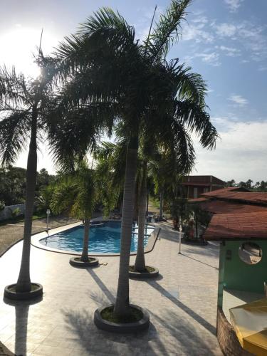 a group of palm trees next to a swimming pool at Chalé Temporada Porto dos Lençóis - Lençóis Maranhenses in Barreirinhas