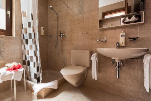 uma casa de banho com um WC, um lavatório e um chuveiro em Hotel Alex em Leukerbad