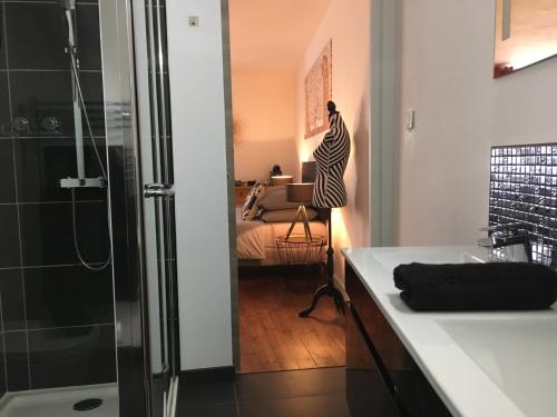 a bathroom with a shower and a bedroom with a bed at Les Halles Chambre D'hôtes in Verteuil-sur-Charente