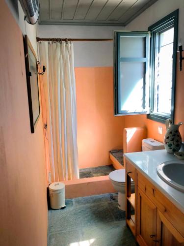 a bathroom with a toilet and a sink and a window at Emelia in Otzias