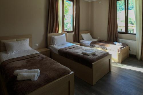 ein Hotelzimmer mit 2 Betten und 2 Fenstern in der Unterkunft Hotel Patriot in Mestia