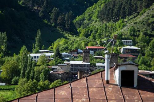 a small village in the mountains with houses and trees at Hotel Patriot in Mestia