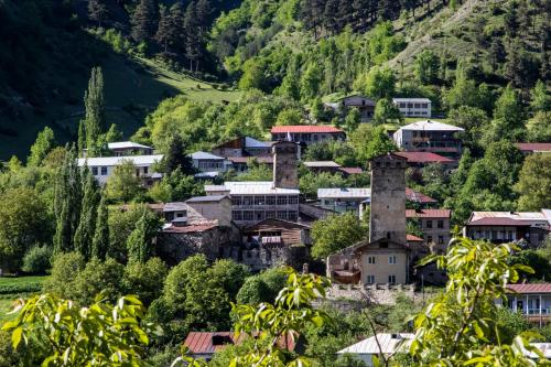 a small village in the mountains with houses at Hotel Patriot in Mestia