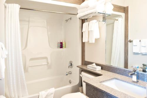 a bathroom with a shower, sink, and toilet at Coast Osoyoos Beach Hotel in Osoyoos