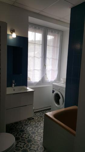 uma casa de banho com um lavatório e uma máquina de lavar roupa em O'delices du Sancy em La Bourboule
