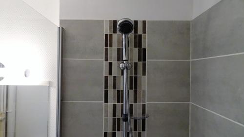 a shower with a glass door in a bathroom at Appartement Le Mans Libération in Le Mans