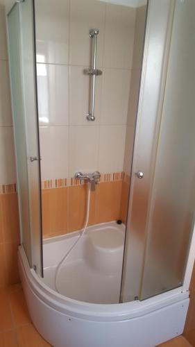 a bath tub with a shower in a bathroom at Banjol 441 Apartman mare in Rab