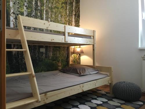 Postel nebo postele na pokoji v ubytování Apartment Selce Kala