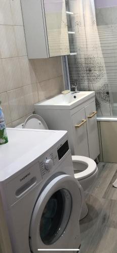 une salle de bain avec machine à laver et toilettes dans l'établissement appartement lisieux calme très bien équipé, à Lisieux