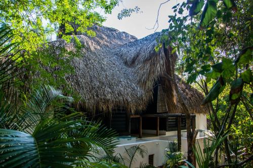 a thatch roofed house with a thatched roof at El Alquimista Yoga Spa in Zipolite