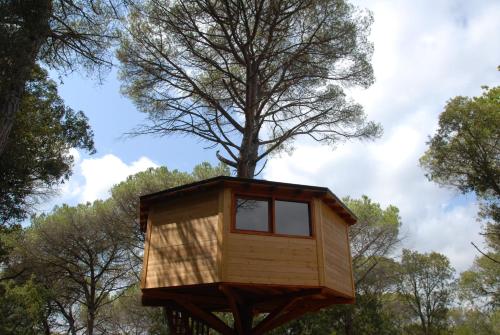 a tree house in the middle of a forest at Cabanes Dosrius in Canyamás