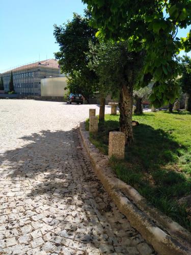 a tree on the side of a brick road at ALM SANTA LUZIA in Guimarães
