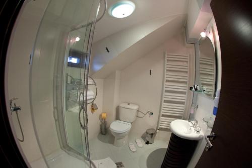 a bathroom with a shower and a toilet and a sink at Carpatic in Predeal