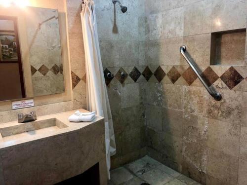 een badkamer met een douche, een wastafel en een douche bij Hotel Virreynal in Córdoba