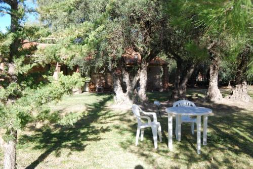 Κήπος έξω από το Suter Petit Hotel