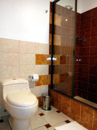 a bathroom with a toilet and a shower at Lunandina Huaraz in Huaraz