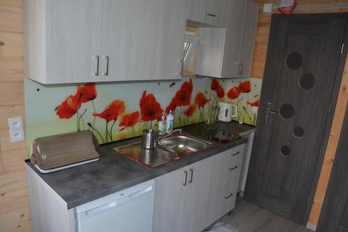 a kitchen with a sink and red flowers on the wall at Agroturystyka na Słonecznej Orawie u Dzikich in Jabłonka