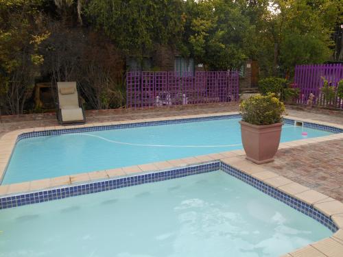 a large blue swimming pool with a plant in a pot at Obesa Lodge in Graaff-Reinet