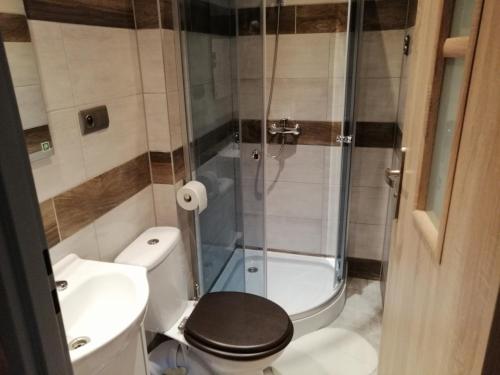 a small bathroom with a toilet and a shower at Pokoje Gościnne Polo in Częstochowa
