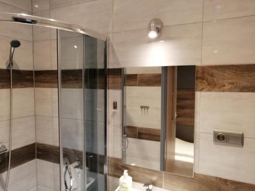 a shower with a glass door in a bathroom at Pokoje Gościnne Polo in Częstochowa