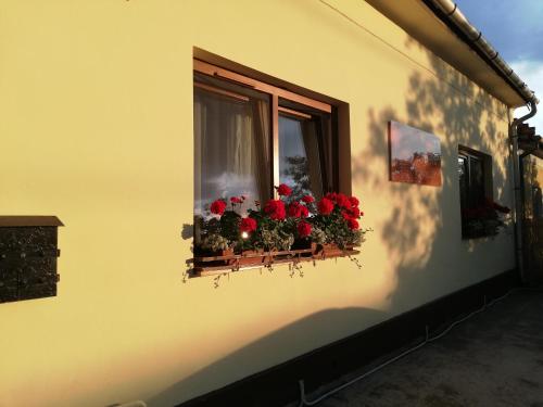 a window with a bunch of red flowers on it at Gyöngyszem Vendégház in Eger