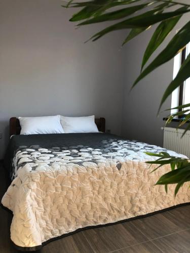 Ένα ή περισσότερα κρεβάτια σε δωμάτιο στο REEF APARTMENTS